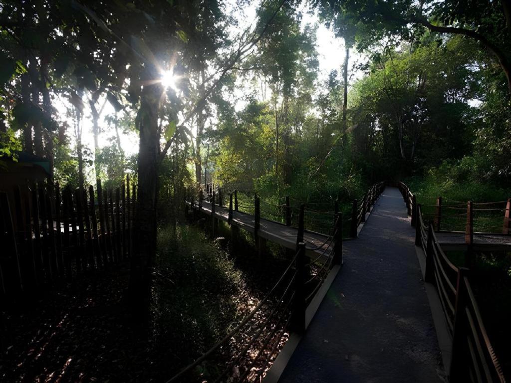 קאט טיין Forest Floor Lodge מראה חיצוני תמונה