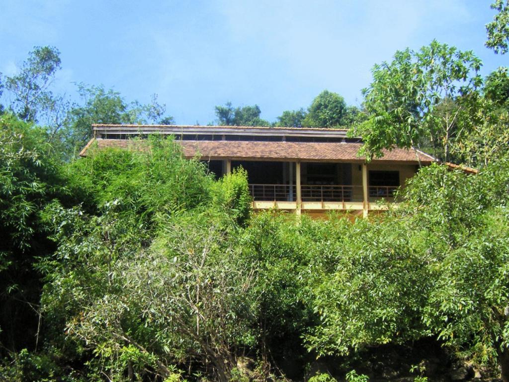 קאט טיין Forest Floor Lodge מראה חיצוני תמונה