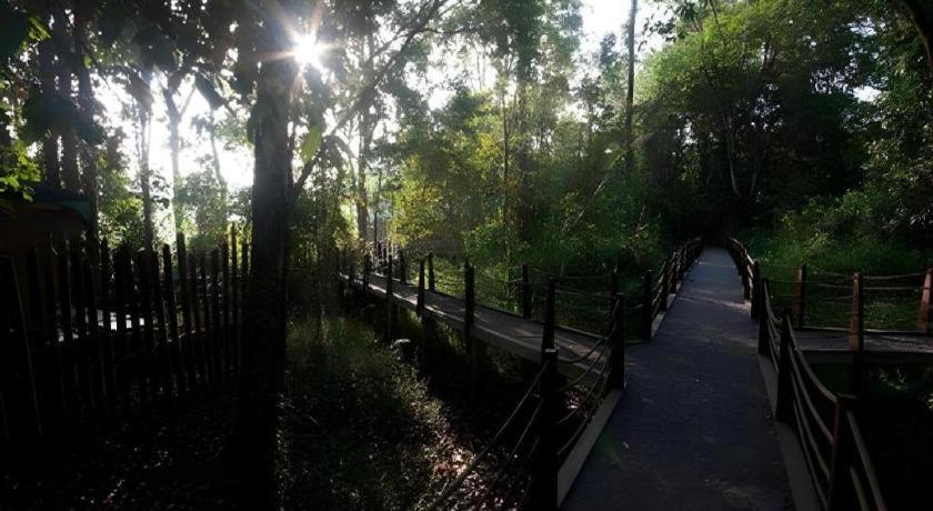 קאט טיין Forest Floor Lodge מראה חיצוני תמונה