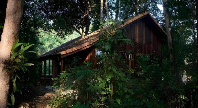 קאט טיין Forest Floor Lodge מראה חיצוני תמונה