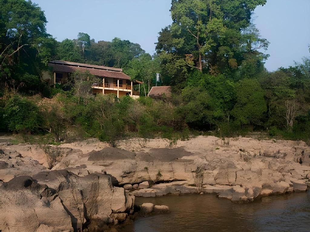 קאט טיין Forest Floor Lodge מראה חיצוני תמונה