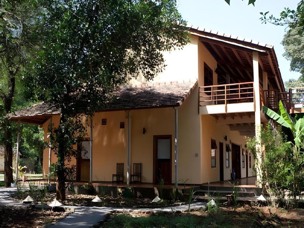 קאט טיין Forest Floor Lodge מראה חיצוני תמונה