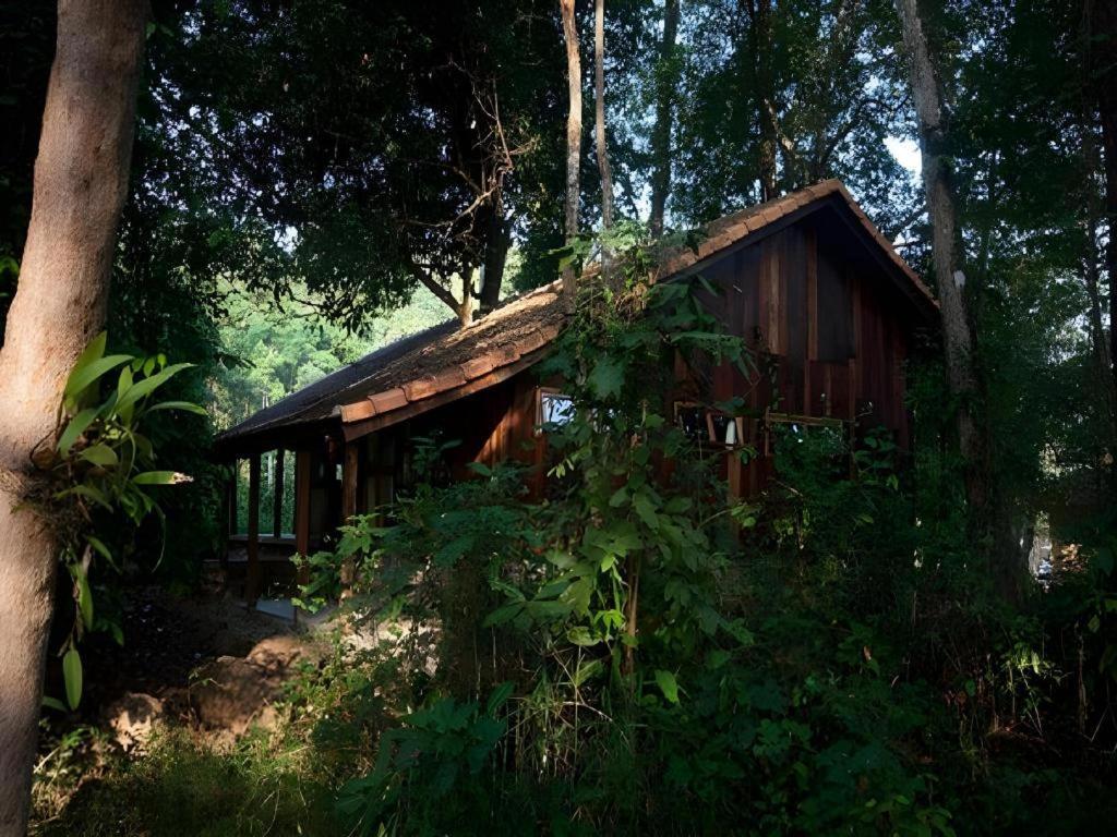 קאט טיין Forest Floor Lodge מראה חיצוני תמונה