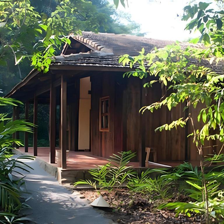 קאט טיין Forest Floor Lodge מראה חיצוני תמונה