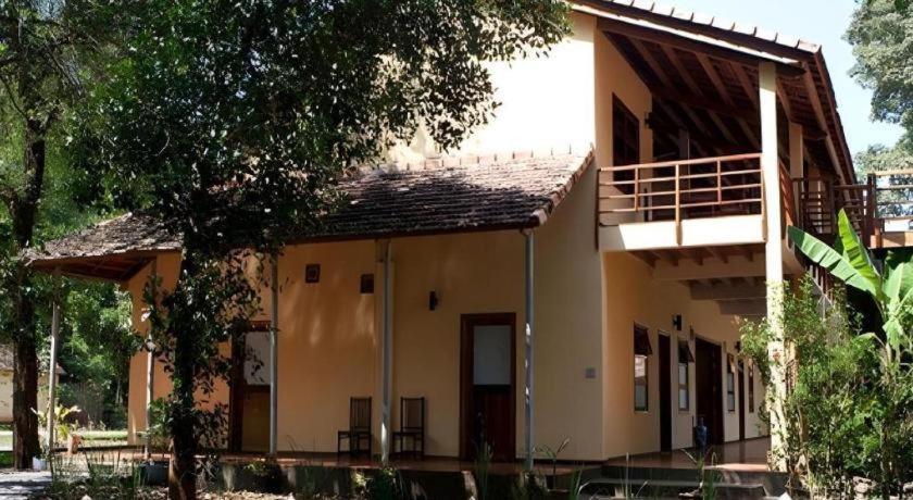 קאט טיין Forest Floor Lodge מראה חיצוני תמונה