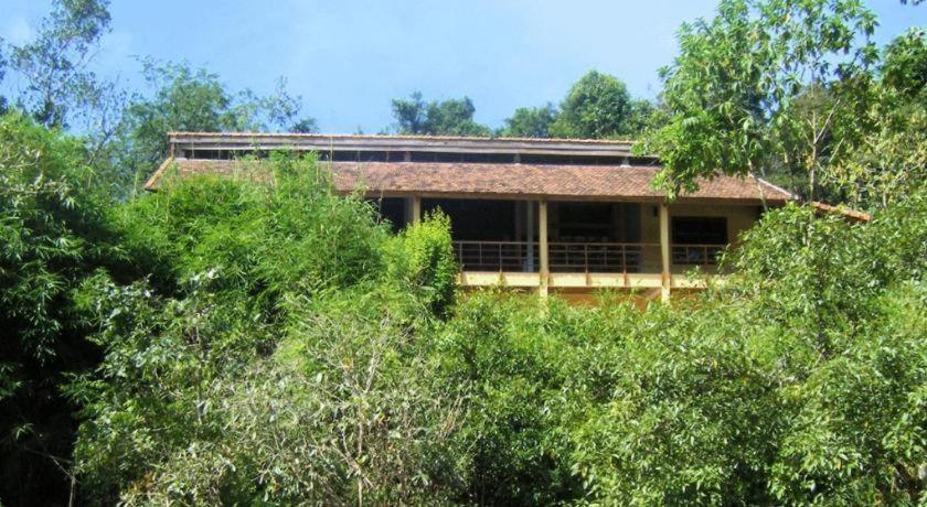 קאט טיין Forest Floor Lodge מראה חיצוני תמונה