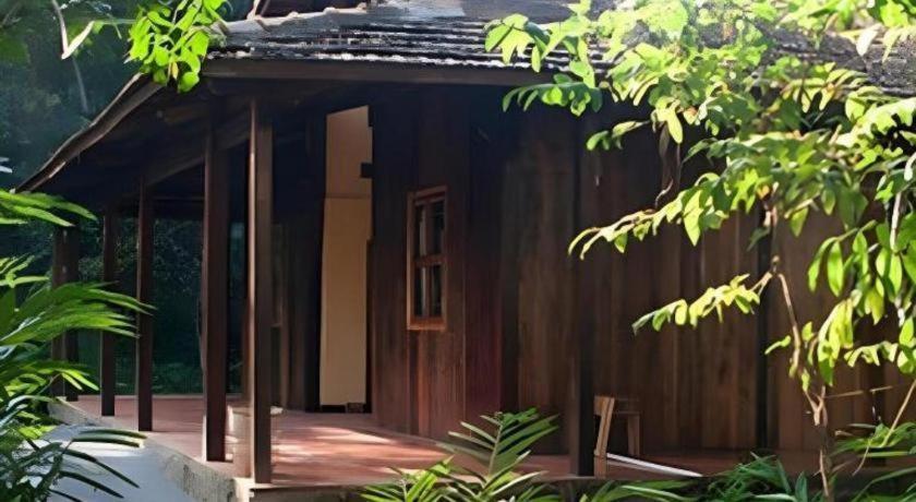 קאט טיין Forest Floor Lodge מראה חיצוני תמונה