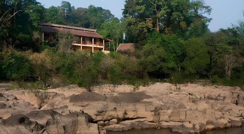 קאט טיין Forest Floor Lodge מראה חיצוני תמונה
