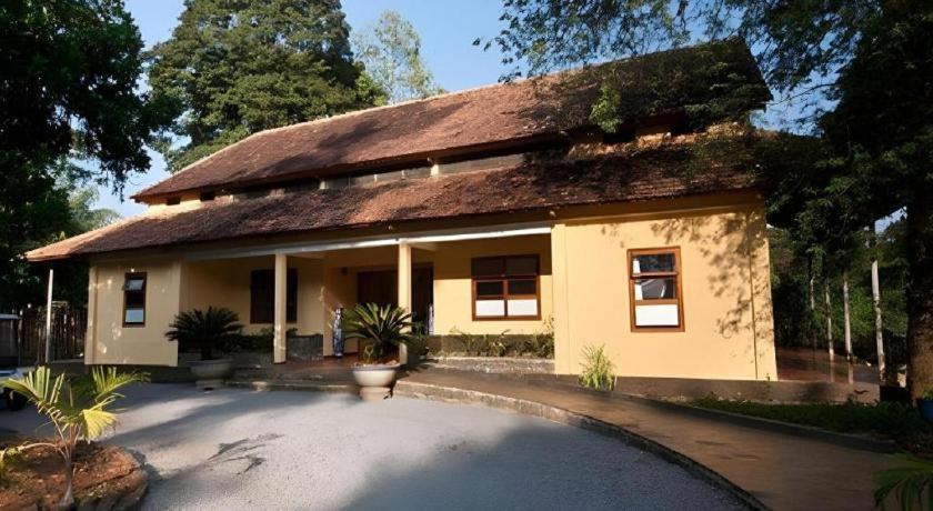 קאט טיין Forest Floor Lodge מראה חיצוני תמונה
